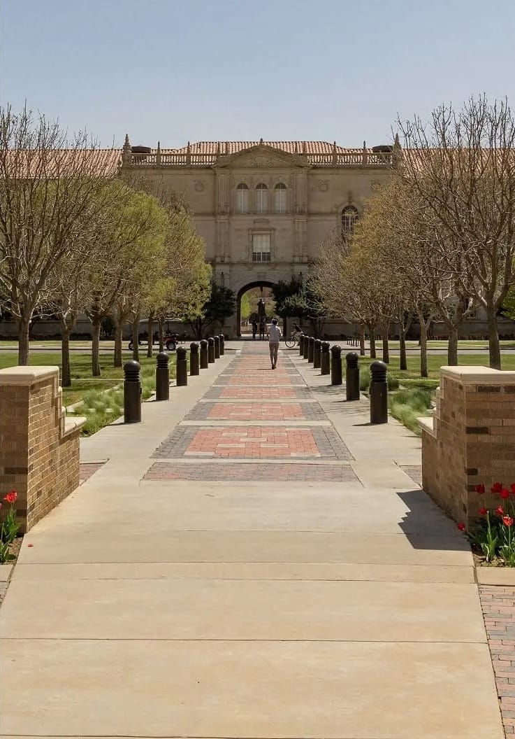 Person walks on brick path toward grand university building, lined by trees.