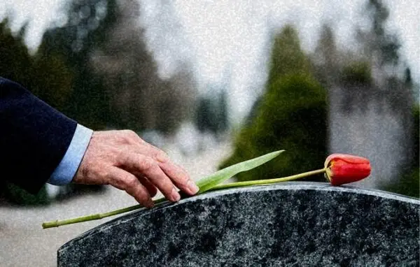 Hand placing a red tulip on a dark gravestone in a cemetery | Wrongful death.